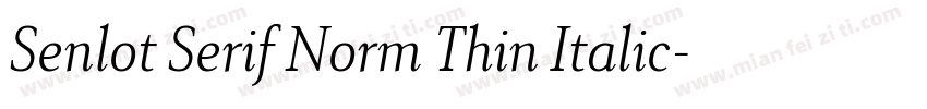 Senlot Serif Norm Thin Italic字体转换